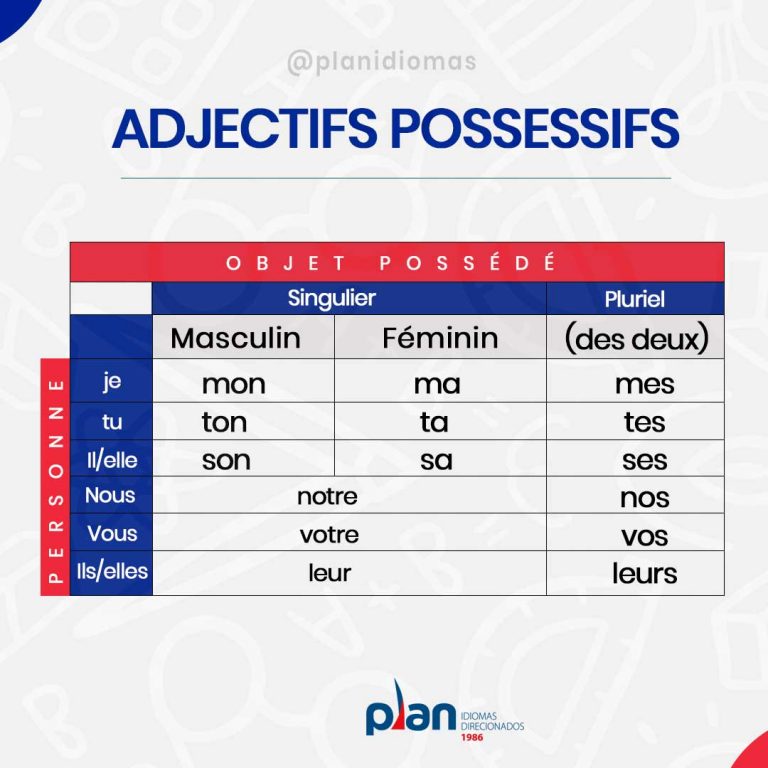 Les adjectifs possessifs